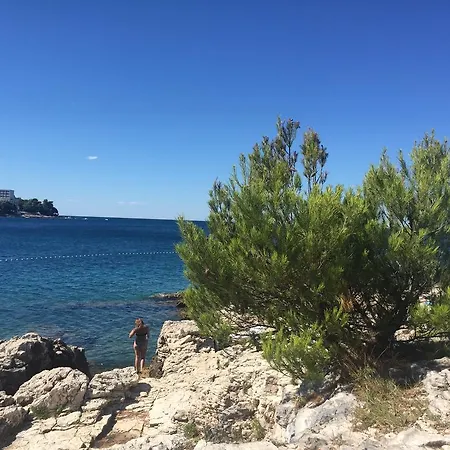 Vila Croatian With Pool