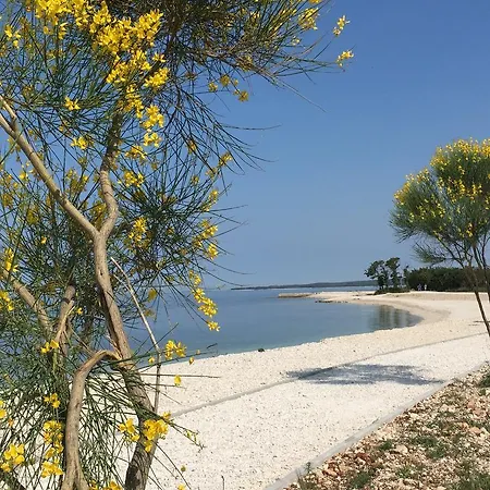 Vila Croatian With Pool