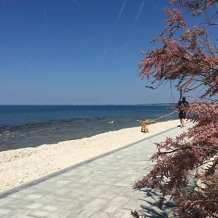 Croatian With Pool Vila