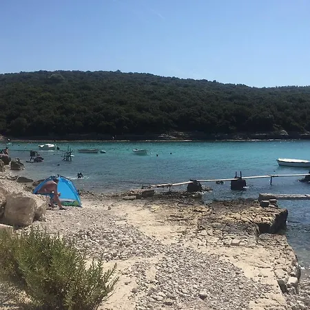 Vila Croatian With Pool *