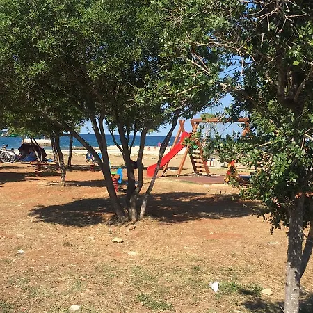 Vila Croatian With Pool