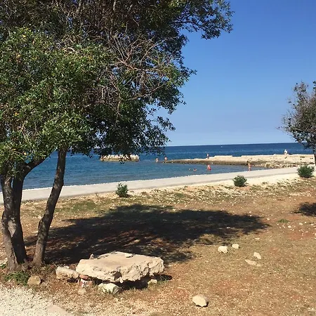 Vila Croatian With Pool
