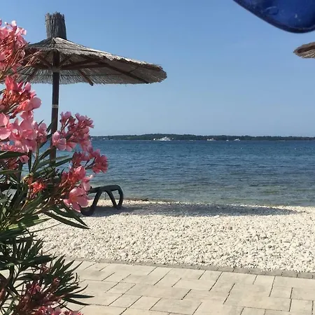 Croatian With Pool Vila Vodnjan